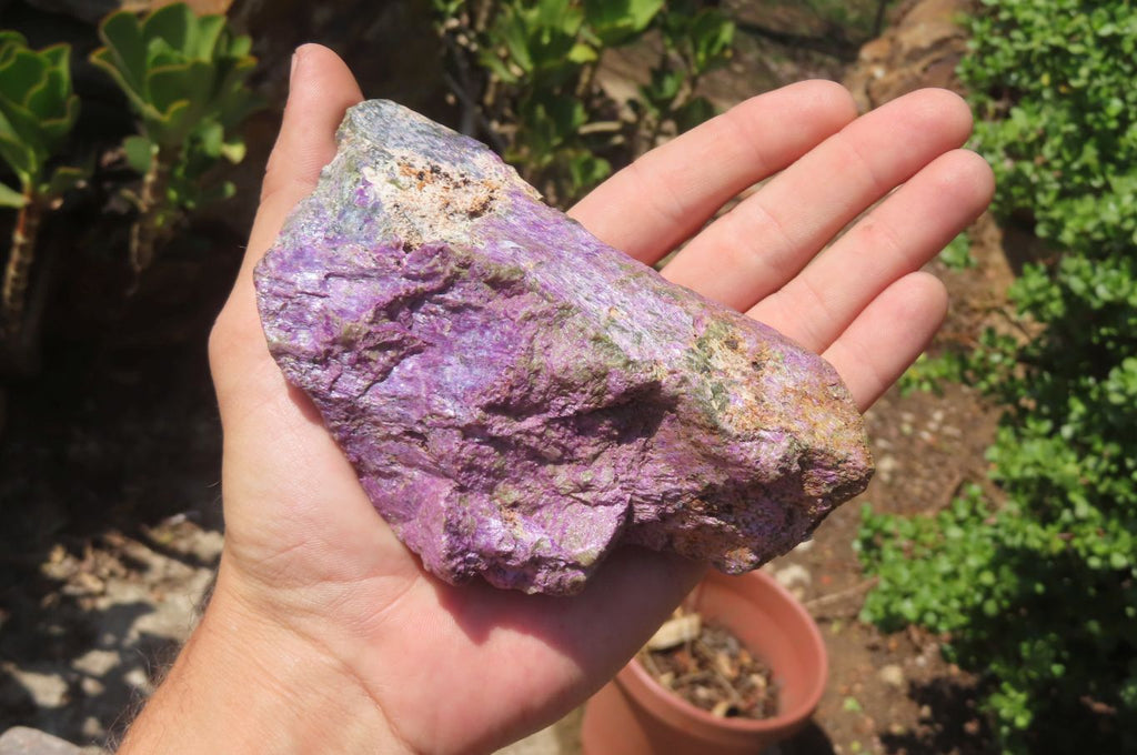 Natural Stichtite Cobbed Specimens x 11 From Barberton, South Africa - Toprock Gemstones and Minerals 