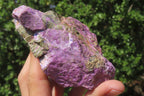 Natural Stichtite Cobbed Specimens x 11 From Barberton, South Africa - Toprock Gemstones and Minerals 
