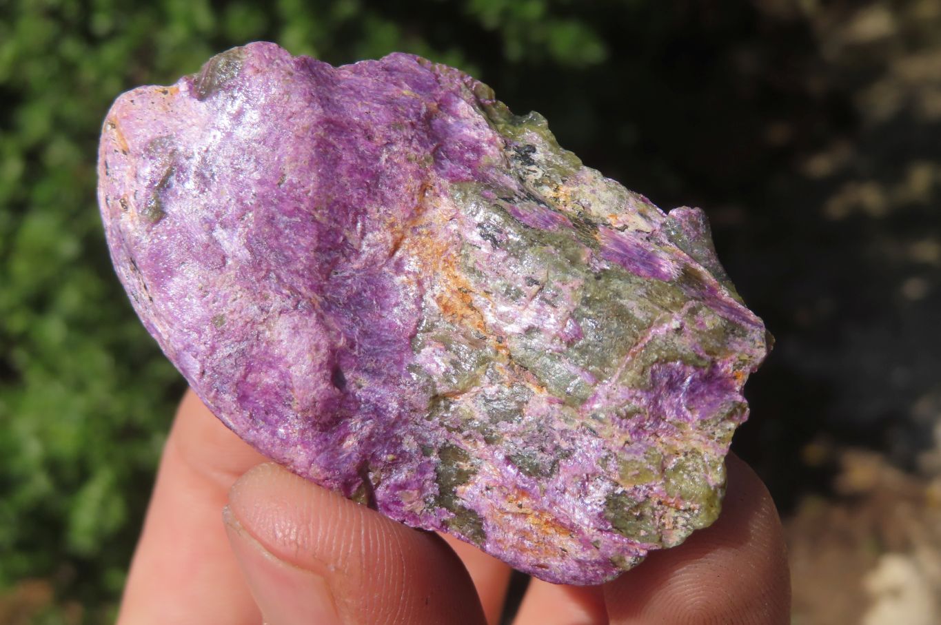 Natural Stichtite Cobbed Specimens x 11 From Barberton, South Africa - Toprock Gemstones and Minerals 