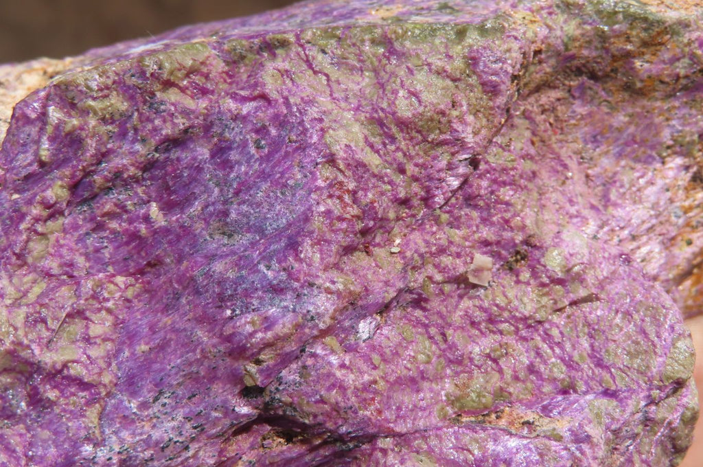 Natural Stichtite Cobbed Specimens x 11 From Barberton, South Africa - Toprock Gemstones and Minerals 