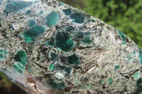 Polished Rare Emerald Mica In Matrix Free Forms x 6 From Mutoko, Zimbabwe - Toprock Gemstones and Minerals 