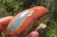 Polished On One Side Polychrome Jasper Nodules x 6 From Mahajanga, Madagascar