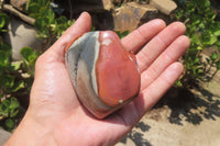 Polished On One Side Polychrome Jasper Nodules x 6 From Mahajanga, Madagascar