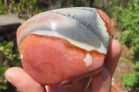 Polished On One Side Polychrome Jasper Nodules x 6 From Mahajanga, Madagascar