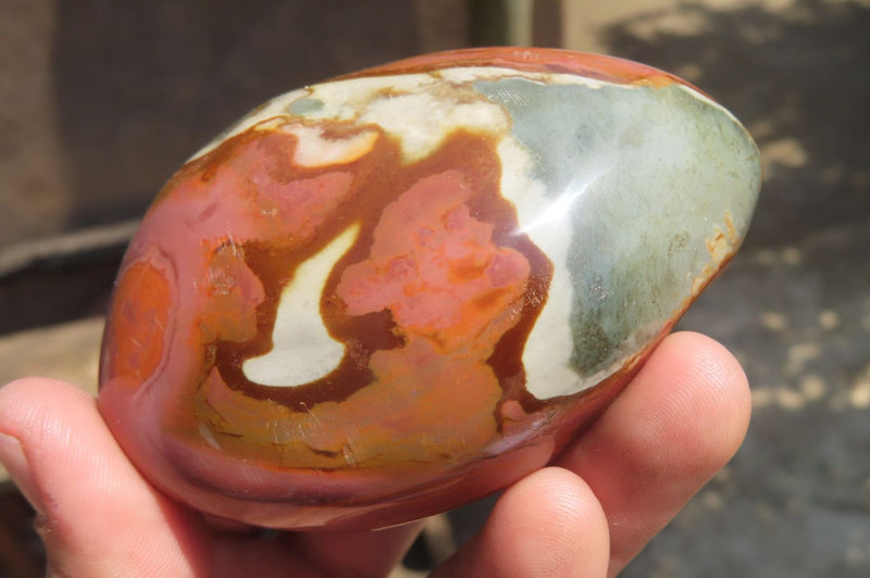 Polished On One Side Polychrome Jasper Nodules x 6 From Mahajanga, Madagascar - Toprock Gemstones and Minerals 