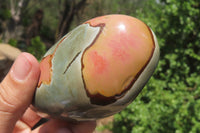 Polished On One Side Polychrome Jasper Nodules x 6 From Mahajanga, Madagascar