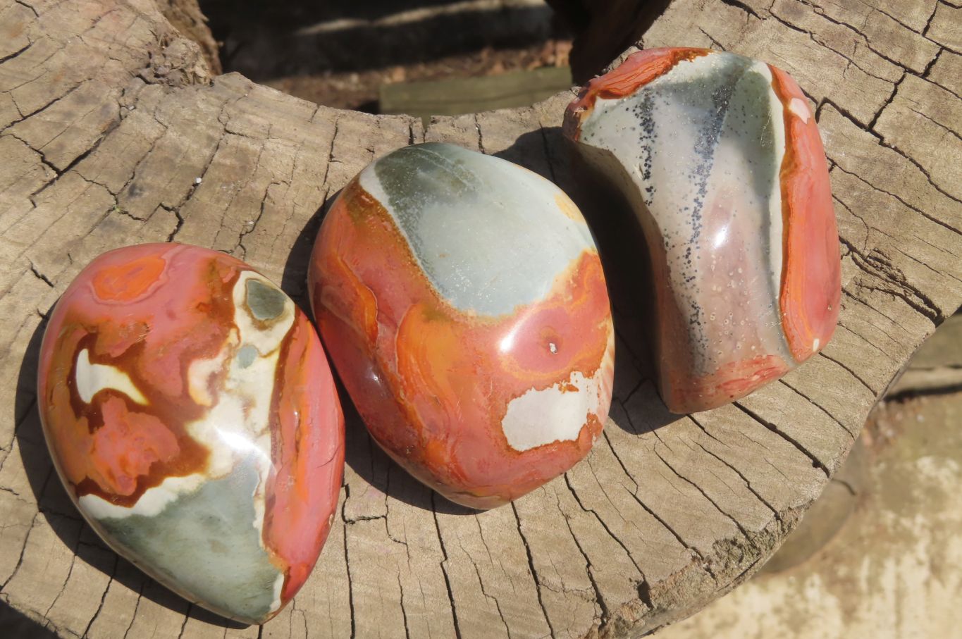 Polished On One Side Polychrome Jasper Nodules x 6 From Mahajanga, Madagascar - Toprock Gemstones and Minerals 