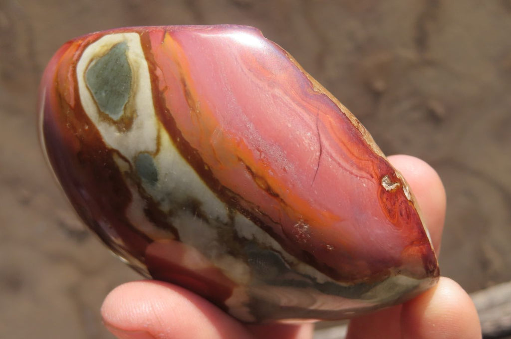 Polished On One Side Polychrome Jasper Nodules x 6 From Mahajanga, Madagascar - Toprock Gemstones and Minerals 