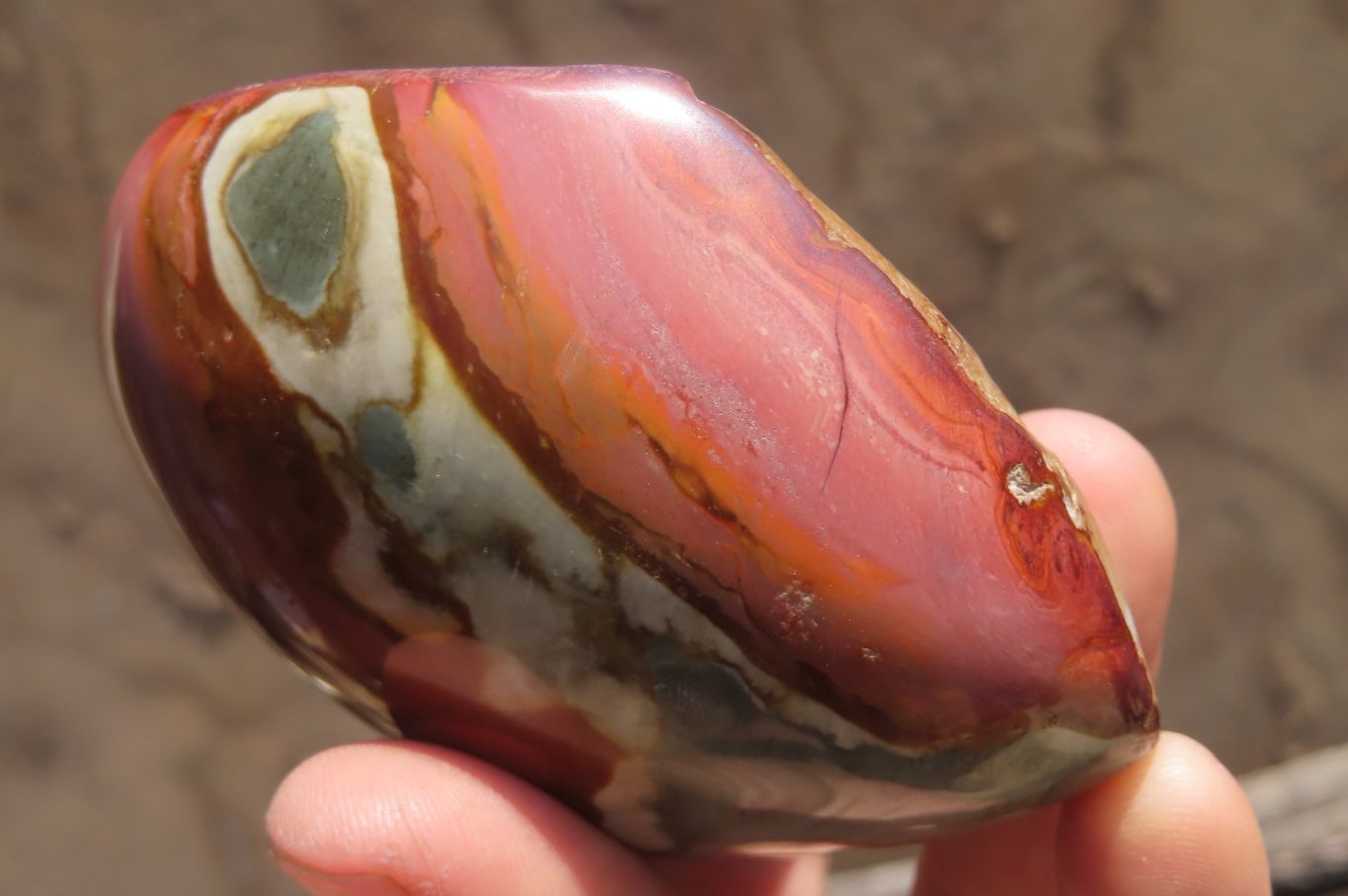 Polished On One Side Polychrome Jasper Nodules x 6 From Mahajanga, Madagascar - Toprock Gemstones and Minerals 