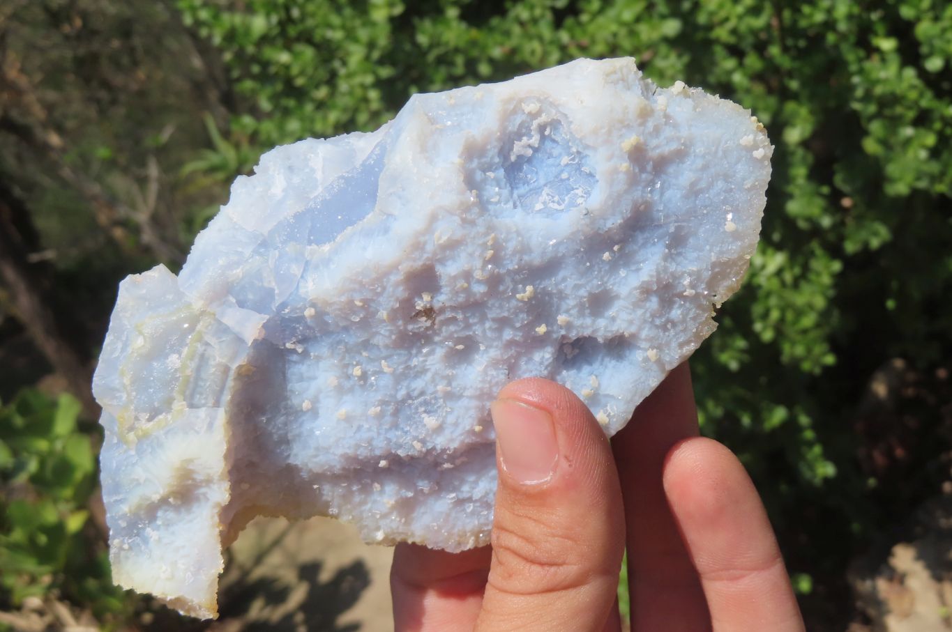 Natural Etched Blue Chalcedony Specimens x 5 From Nsanje, Malawi - Toprock Gemstones and Minerals 