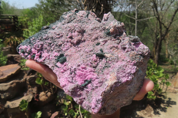 Natural Salrose Cobaltion Dolomite Specimen x 1 From Kakanda, Congo - Toprock Gemstones and Minerals 