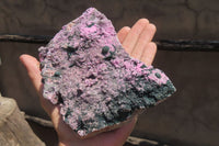 Natural Salrose Cobaltion Dolomite Specimen x 1 From Kakanda, Congo - Toprock Gemstones and Minerals 