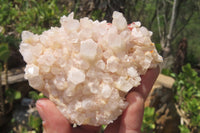 Natural Mixed Quartz Clusters x 12 From Madagascar - Toprock Gemstones and Minerals 
