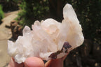 Natural Mixed Quartz Clusters x 12 From Madagascar - Toprock Gemstones and Minerals 