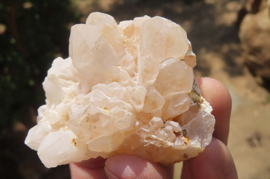 Natural Mixed Quartz Clusters x 12 From Madagascar - Toprock Gemstones and Minerals 