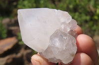 Natural Limonite Spirit Quartz Clusters x 13 From Boekenhouthoek, South Africa - Toprock Gemstones and Minerals 
