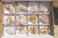 Natural Limonite Spirit Quartz Clusters x 13 From Boekenhouthoek, South Africa - Toprock Gemstones and Minerals 