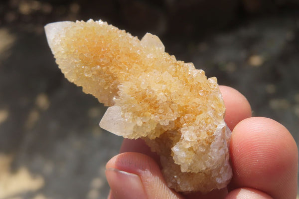 Natural Limonite Spirit Quartz Clusters x 13 From Boekenhouthoek, South Africa - Toprock Gemstones and Minerals 