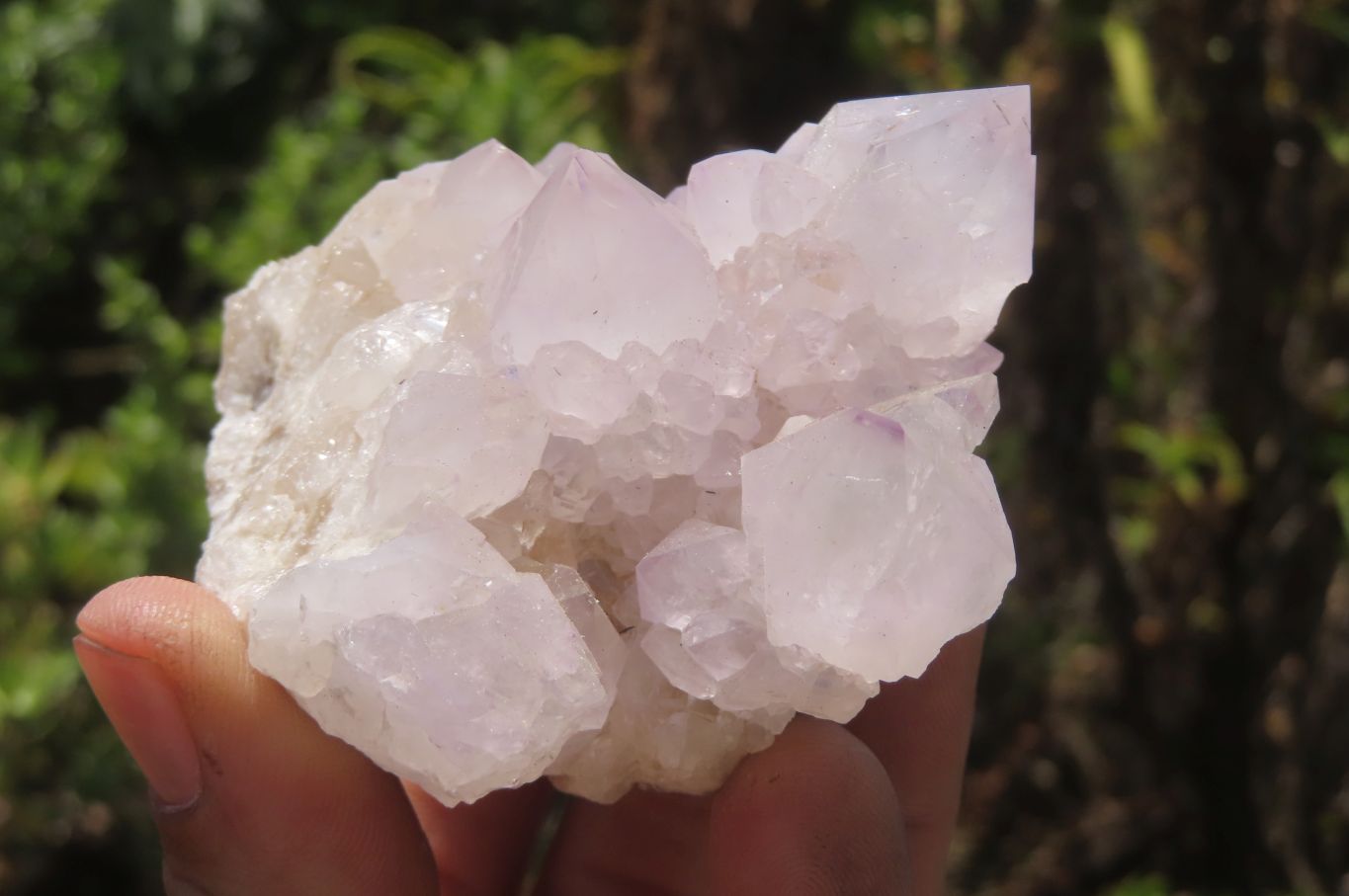 Natural Amethyst Spirit Quartz Clusters x 4 From Boekenhouthoek, South Africa - Toprock Gemstones and Minerals 