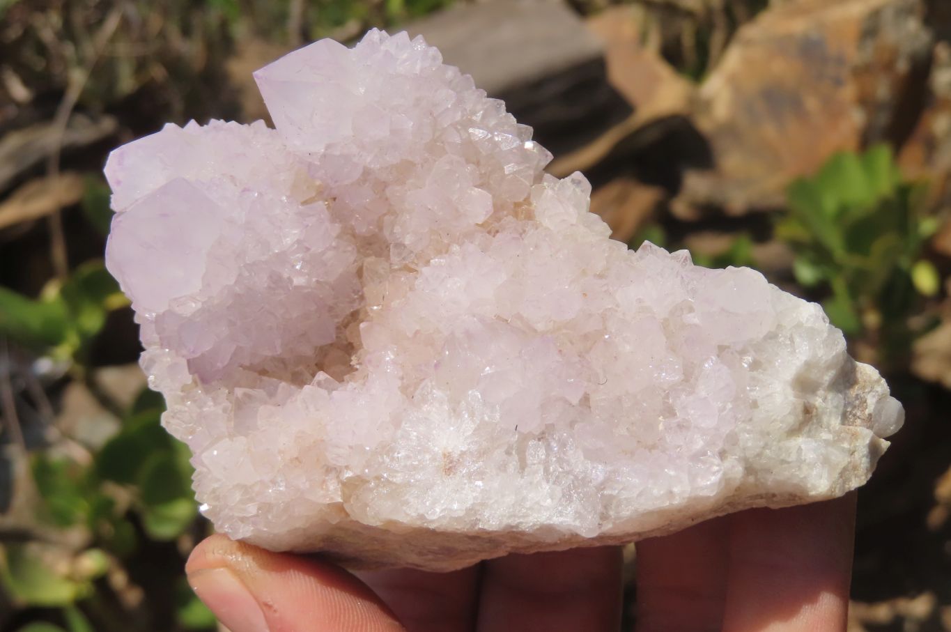 Natural Amethyst Spirit Quartz Clusters x 4 From Boekenhouthoek, South Africa - Toprock Gemstones and Minerals 