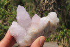 Natural Amethyst Spirit Quartz Clusters x 4 From Boekenhouthoek, South Africa - Toprock Gemstones and Minerals 