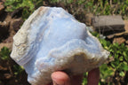 Natural Blue Lace Agate Geode Specimens x 14 From Nsanje, Malawi - Toprock Gemstones and Minerals 