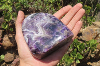 Polished Chevron Amethyst Standing Free Forms x 2 from Zambia - Toprock Gemstones and Minerals 