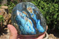 Polished Labradorite Standing Free Form x 1 From Tulear, Madagascar - Toprock Gemstones and Minerals 
