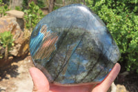 Polished Labradorite Standing Free Form x 1 From Tulear, Madagascar - Toprock Gemstones and Minerals 