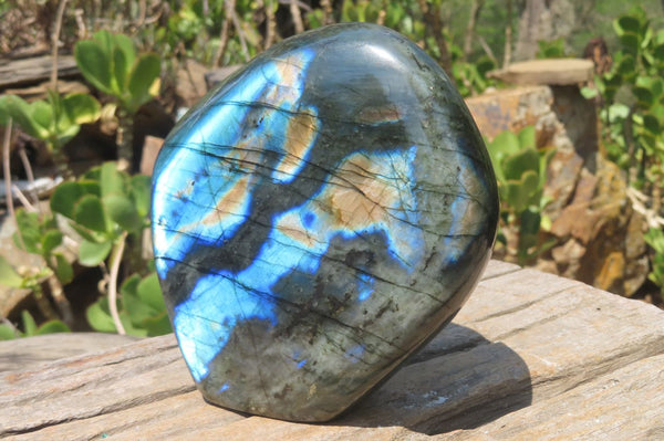 Polished Labradorite Standing Free Form x 1 From Tulear, Madagascar - Toprock Gemstones and Minerals 