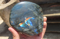 Polished Labradorite Standing Free Form x 1 From Tulear, Madagascar - Toprock Gemstones and Minerals 