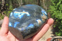 Polished Labradorite Standing Free Form x 1 From Tulear, Madagascar - Toprock Gemstones and Minerals 