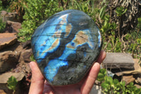 Polished Labradorite Standing Free Form x 1 From Tulear, Madagascar - Toprock Gemstones and Minerals 