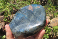 Polished Labradorite Standing Free Form x 1 From Tulear, Madagascar - Toprock Gemstones and Minerals 