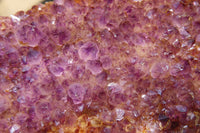 Natural Amethystos Amethyst Plates x 6 From Kwaggafontein, South Africa - Toprock Gemstones and Minerals 