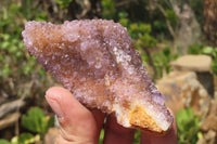Natural Amethystos Amethyst Plates x 6 From Kwaggafontein, South Africa - Toprock Gemstones and Minerals 