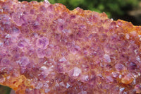 Natural Amethystos Amethyst Plates x 6 From Kwaggafontein, South Africa - Toprock Gemstones and Minerals 