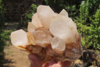 Natural Mixed Quartz Clusters x 3 From Madagascar - Toprock Gemstones and Minerals 