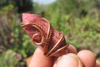 Hand Made Mixed Copper Wire Wrapped Stone Pendants x 6 From South Africa - Toprock Gemstones and Minerals 