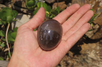Polished Smokey Quartz Gemstone Eggs x 6 From Madagascar - Toprock Gemstones and Minerals 