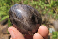 Polished Smokey Quartz Gemstone Eggs x 6 From Madagascar - Toprock Gemstones and Minerals 