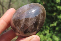 Polished Smokey Quartz Gemstone Eggs x 6 From Madagascar - Toprock Gemstones and Minerals 