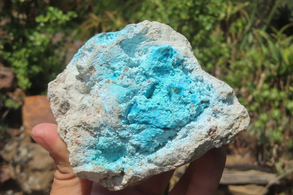 Natural Drusy Coated Chrysocolla Specimens x 4 From Congo - Toprock Gemstones and Minerals 