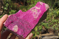 Natural Salrose Cobaltion Dolomite Specimens x 3 From Kakanda, Congo - Toprock Gemstones and Minerals 