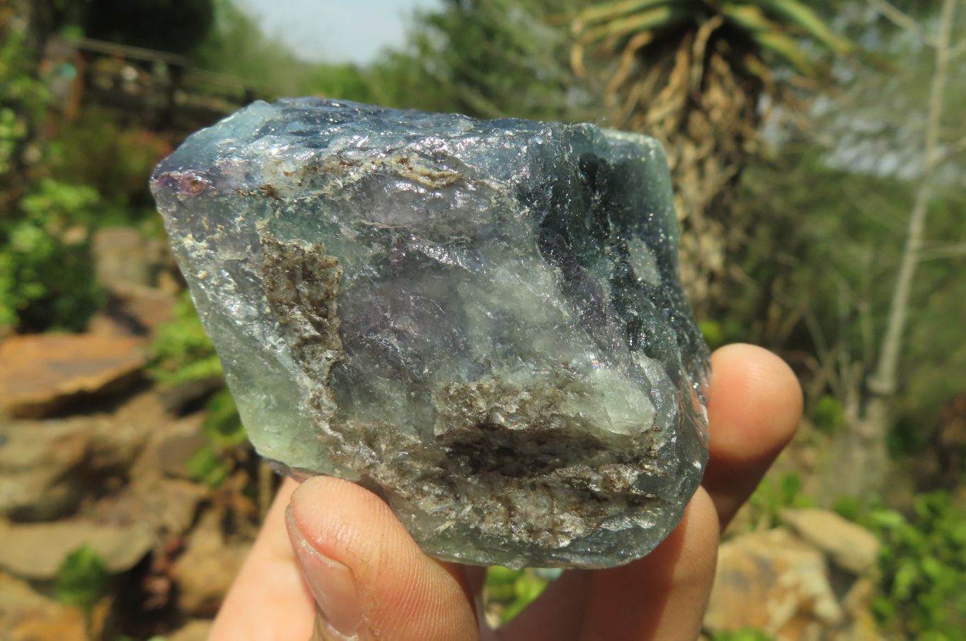 Natural Watermelon Fluorite Cobbed Specimens x 7 From Uis, Namibia - Toprock Gemstones and Minerals 