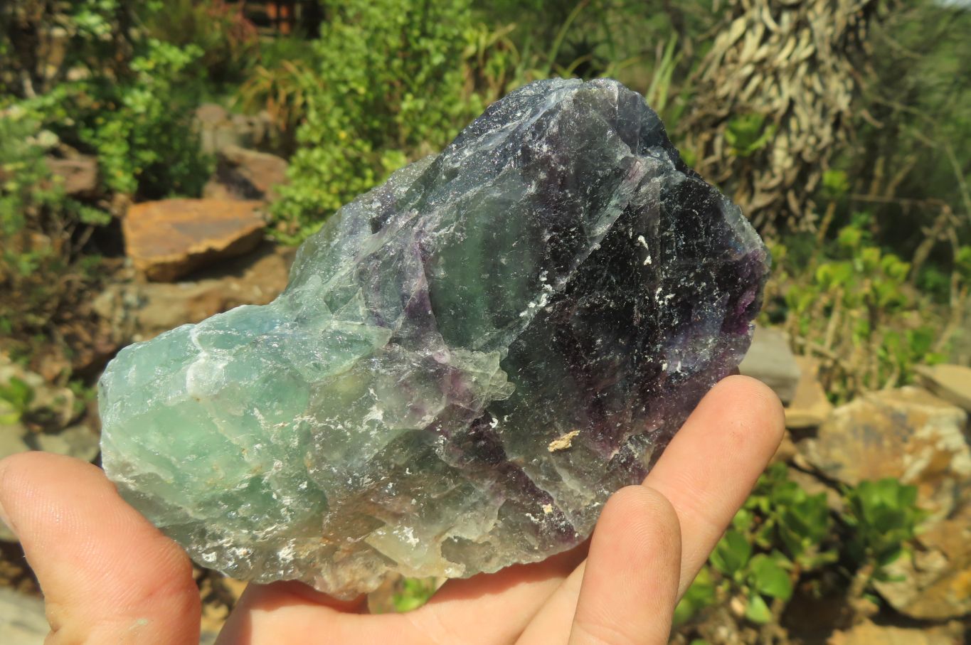 Natural Watermelon Fluorite Cobbed Specimens x 7 From Uis, Namibia - Toprock Gemstones and Minerals 