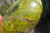Polished Green Opal Standing Free Form x 1 From Antsirabe, Madagascar - Toprock Gemstones and Minerals 