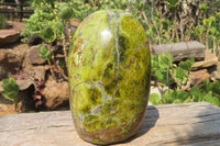 Polished Green Opal Standing Free Form x 1 From Antsirabe, Madagascar - Toprock Gemstones and Minerals 