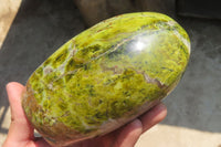 Polished Green Opal Standing Free Form x 1 From Antsirabe, Madagascar - Toprock Gemstones and Minerals 