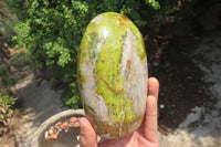 Polished Green Opal Standing Free Form x 1 From Antsirabe, Madagascar - Toprock Gemstones and Minerals 